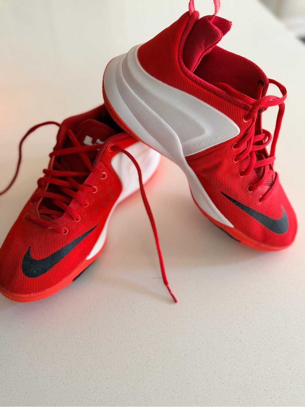 Nike Lebron Zoom Witness